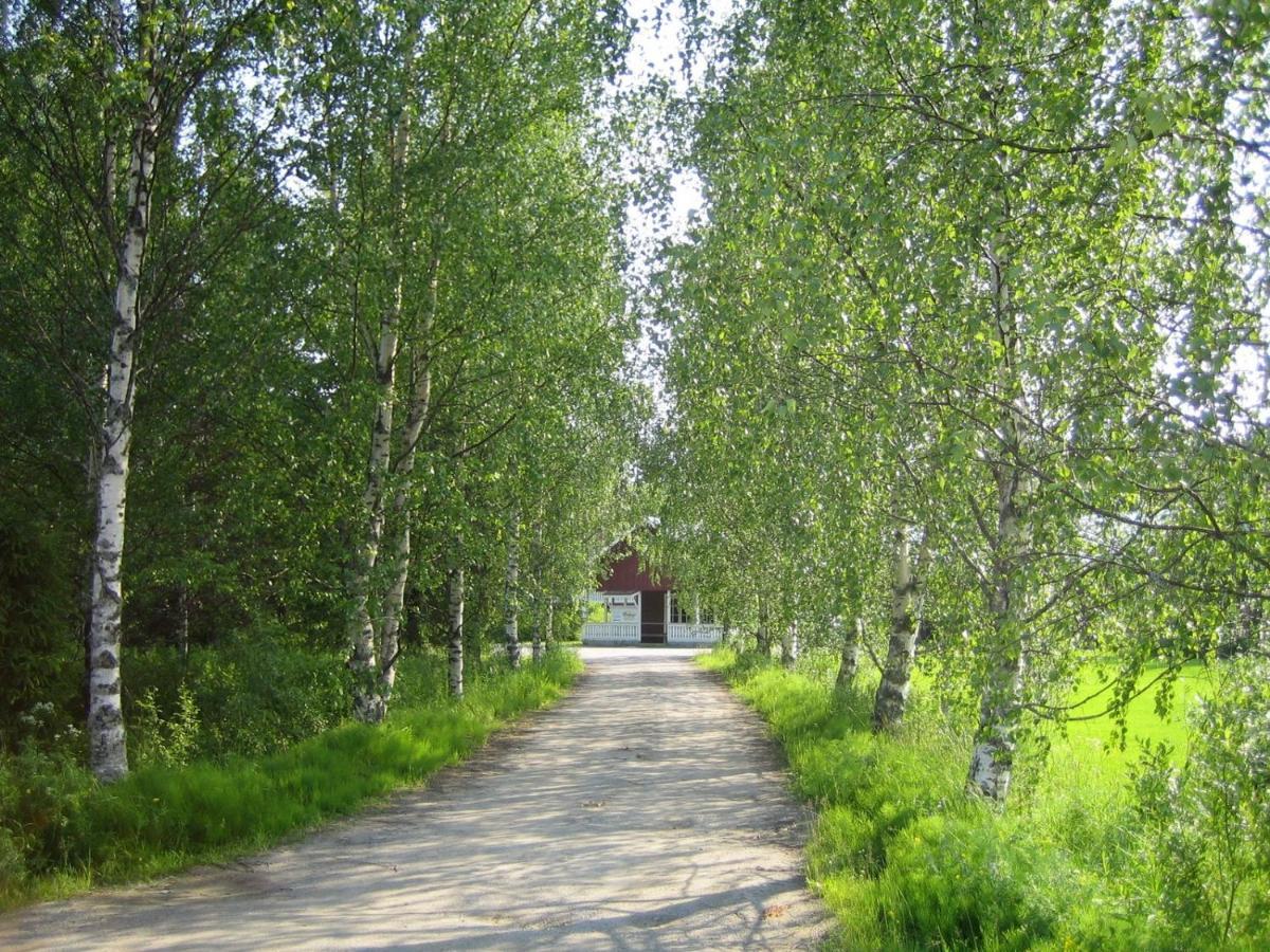 Rauhalan Kievari Kärsämäki Exteriér fotografie